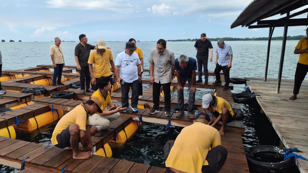 Dewan Ikan Hias Indonesia (DIHI) saat berkunjung di penangkaran karang dan kima PT Dinar di Bali.