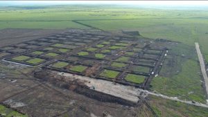 Proyek Tambak Udang Rp 7,2 Triliun di NTT Diserbu 4.796 Pelamar, Ujian Ekonomi Biru Indonesia